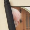urdesk mat rolltall portrait750x1000 23 - Enhypen UK Shop